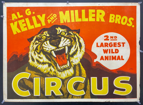 c.1950s Al G. Kelly and Miller Bros. Circus Tiger Acme Show Print