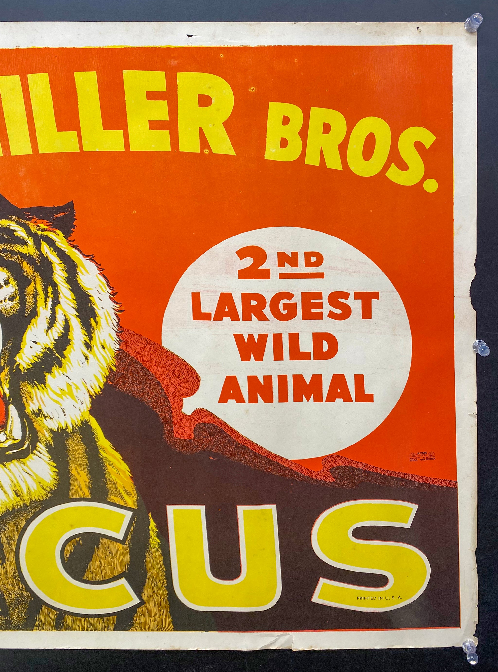 20240130_001830347_iOS_2048x.