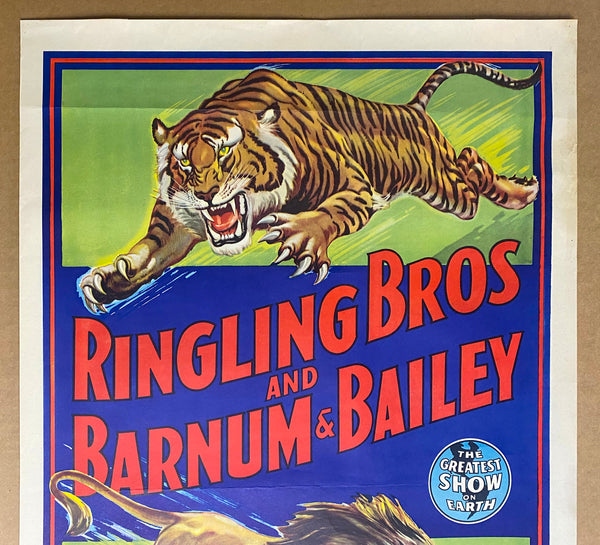 c.1950 Ringling Bros. and Barnum & Bailey Circus Bill Bailey Tiger Lion