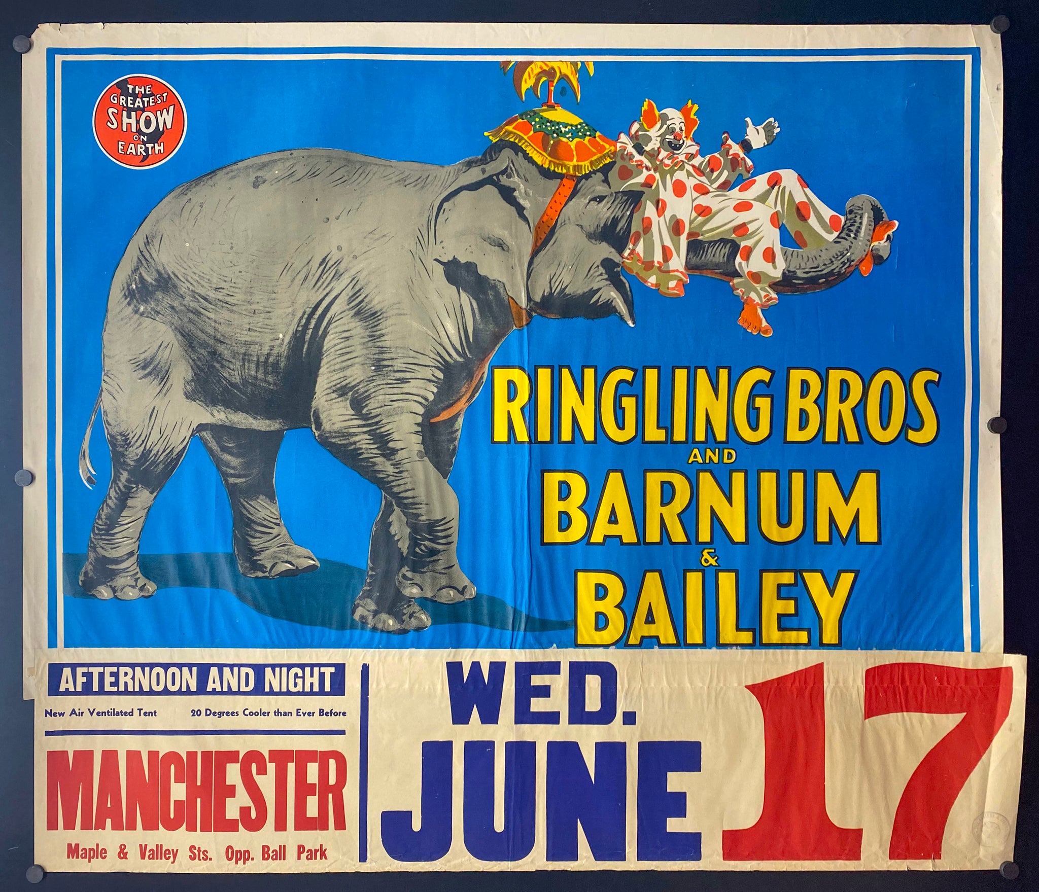 c.1950 Ringling Bros. and Barnum & Bailey Circus Elephant with Banner