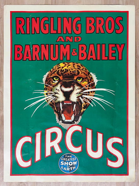 c.1950 Ringling Bros and Barnum & Bailey Circus Tiger