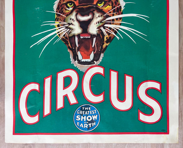 c.1950 Ringling Bros and Barnum & Bailey Circus Tiger