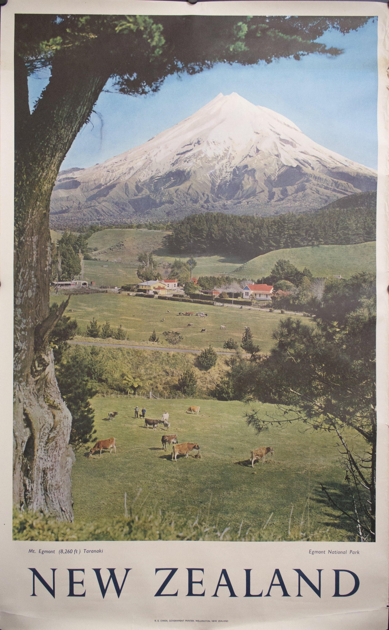 c. 1959 New Zealand | Mt. Egmont (8,260 ft) Taranaki - Golden Age Posters