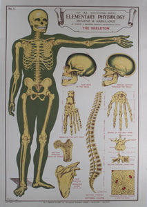 c. 1900 The AL Education Series Elementary Physiology Hygiene & Ambulance Anatomical Chart - Golden Age Posters