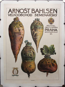 c. 1920s Arnost Bahlsen Velkoobchod Semenarsky - Golden Age Posters
