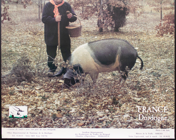 c.1980s La Truffle du Perigord Périgord Dordogne France French Travel