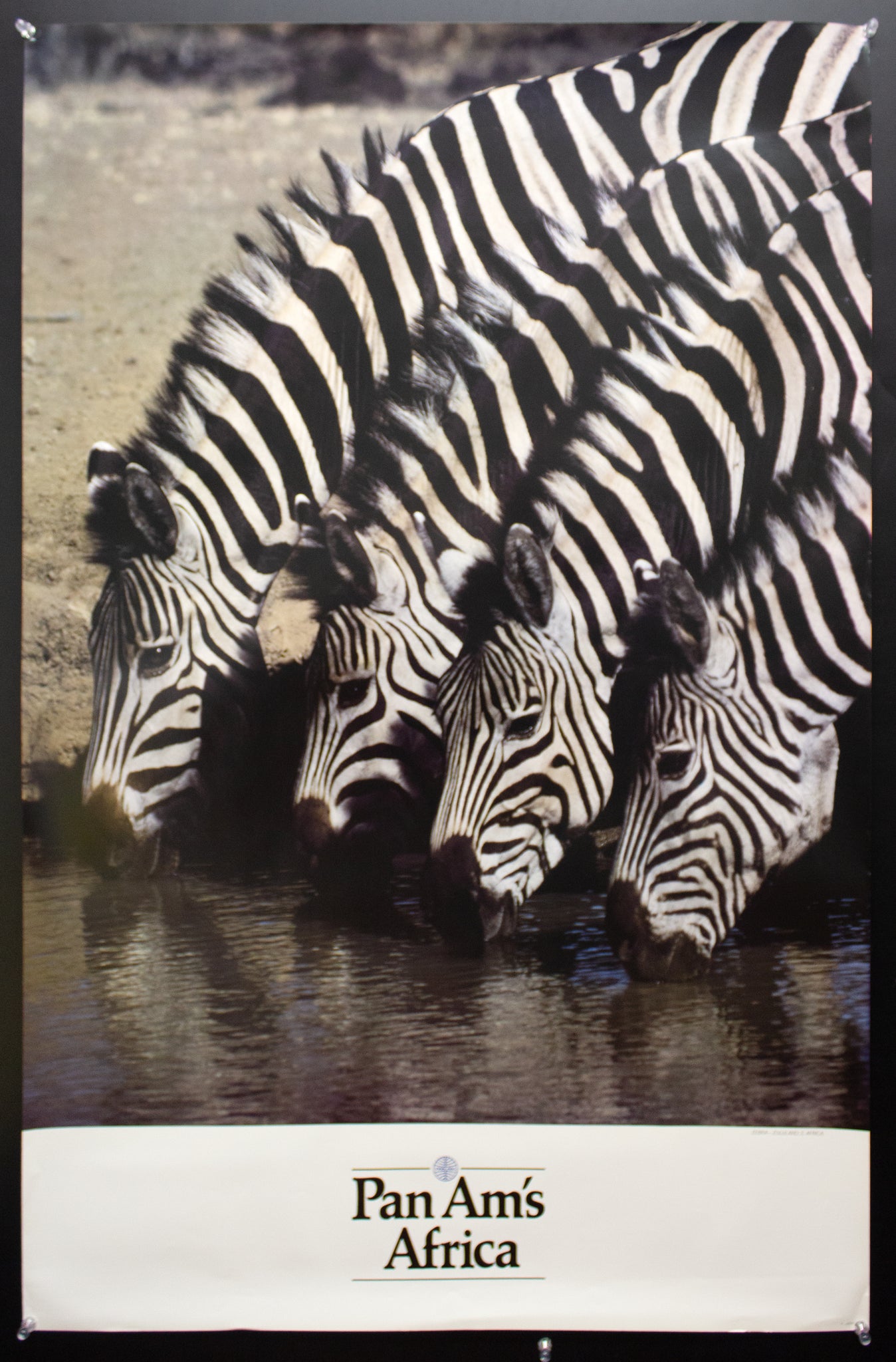 c.1979 Pan Am's Africa Zebras Zululand South Africa Pan American Airlines