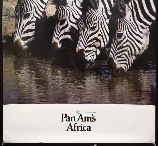 c.1979 Pan Am's Africa Zebras Zululand South Africa Pan American Airlines