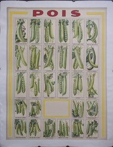 c. 1910 Pois | French Pea Poster - Golden Age Posters