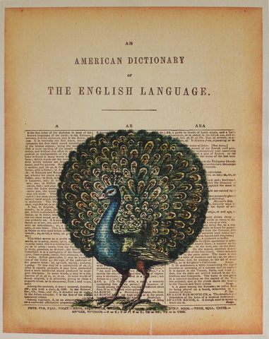 c. 1976 American Dictionary of the English Language - Golden Age Posters